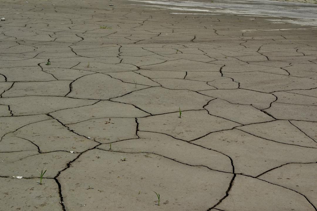 Sarsang Reservoir on the verge of drying up. Photo credit: Marut Vanyan/Caucasus Watch Sarsang Reservoir on the verge of drying up. Photo credit: Marut Vanyan/Caucasus Watch