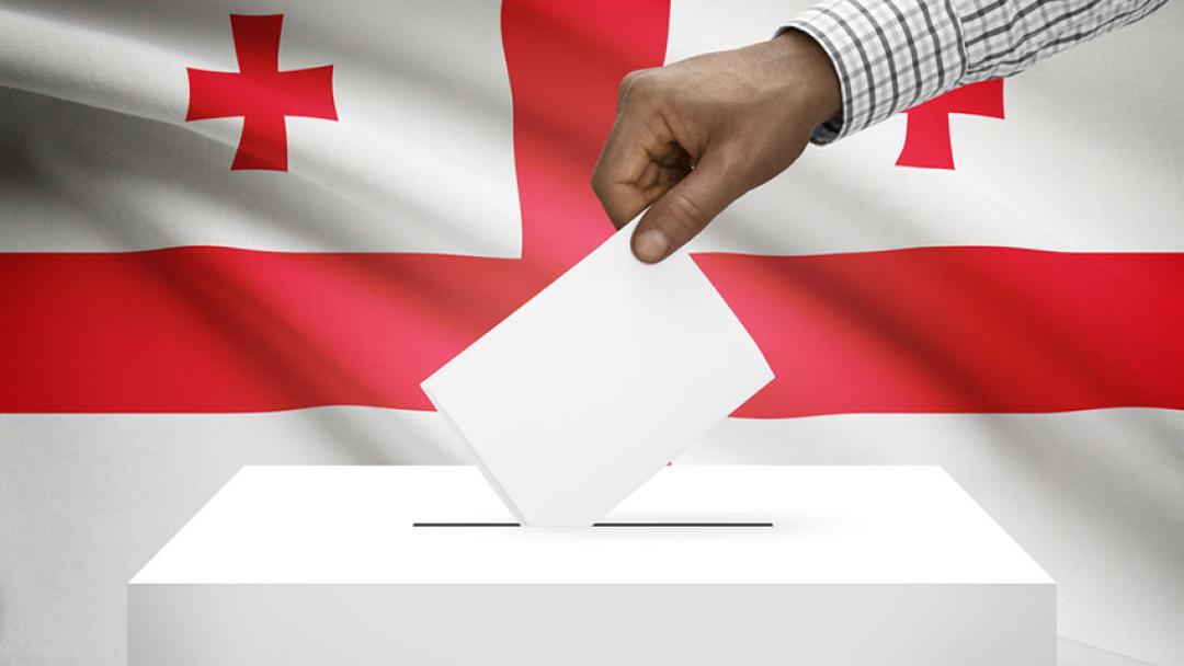 Photo credit: https://www.coe.int/ro/web/electoral-assistance/georgia Photo credit: https://www.coe.int/ro/web/electoral-assistance/georgia