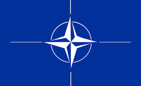 Rasmussen on the future NATO-membership of Ukraine and Georgia